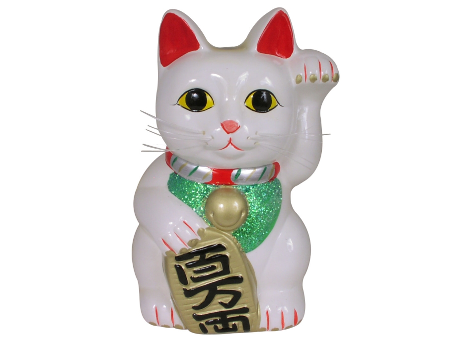 Банки для кошек лаки