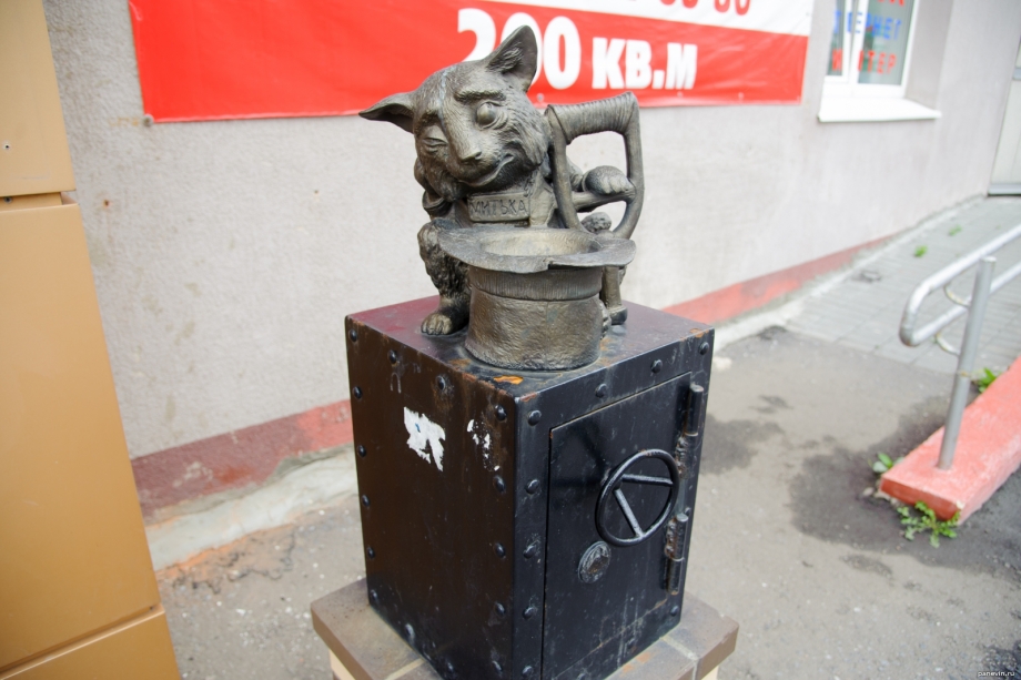 Кот Митька Пенза