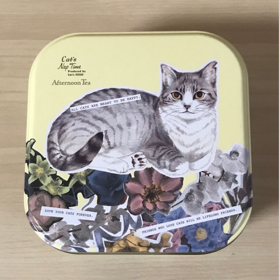 Чай с кошкой на коробке