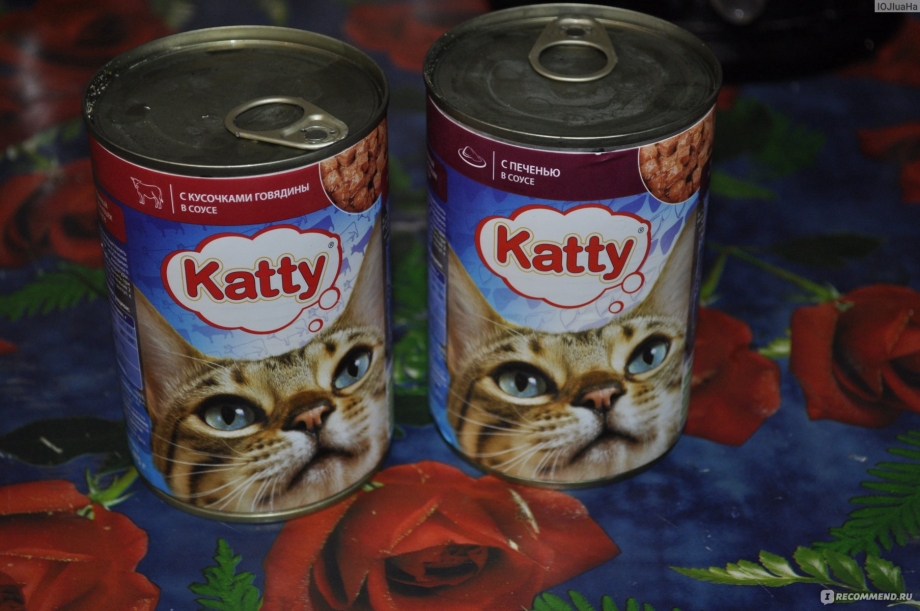 Кошачий корм Katty