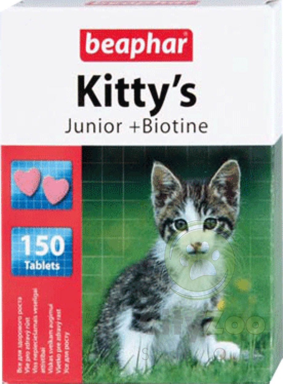 Беафар Киттис Юниор
