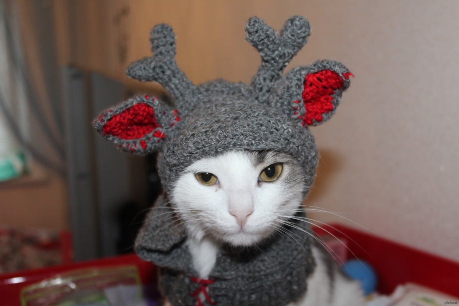 Оленьи рожки для кота