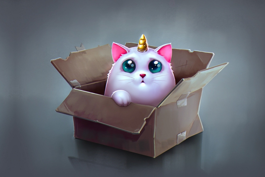 Котик из коробки
