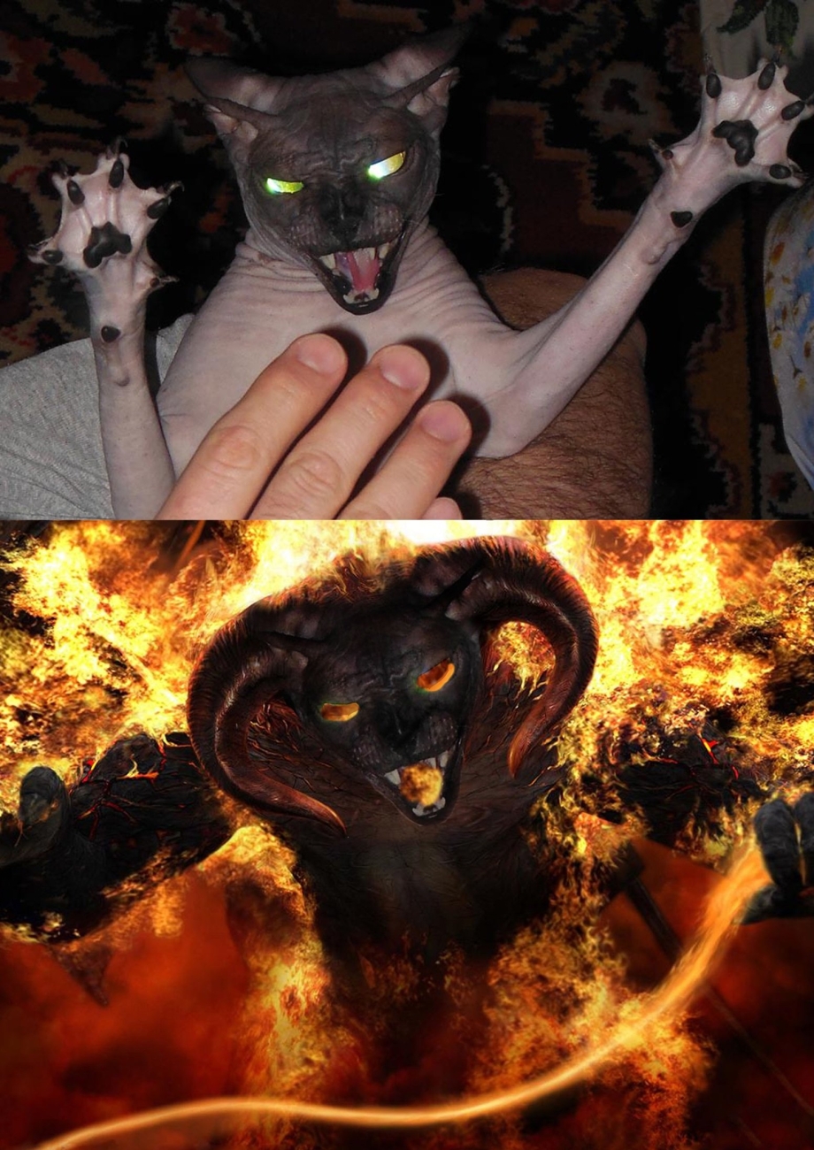 Кошки ада