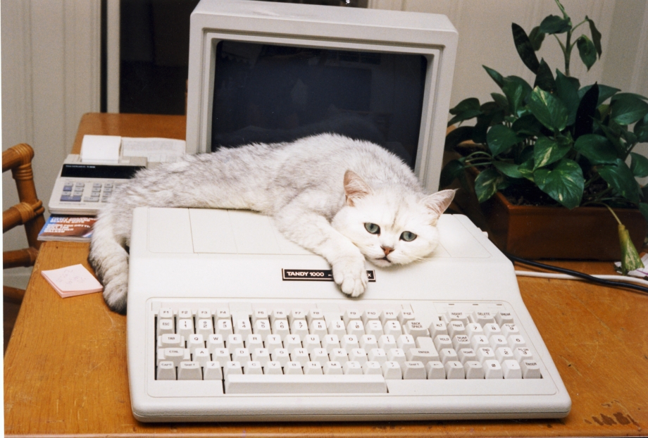 Tandy 1000 HX