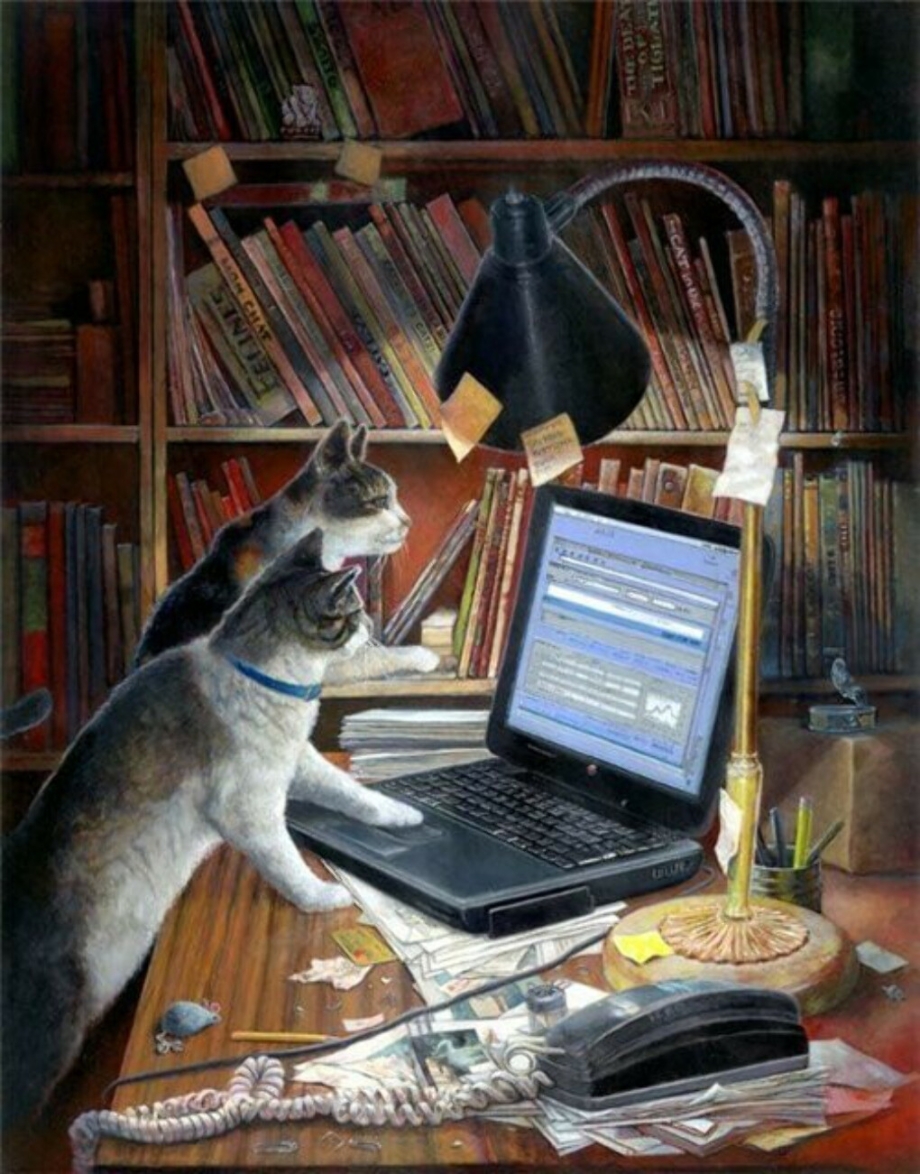 Кот ученый за компьютером