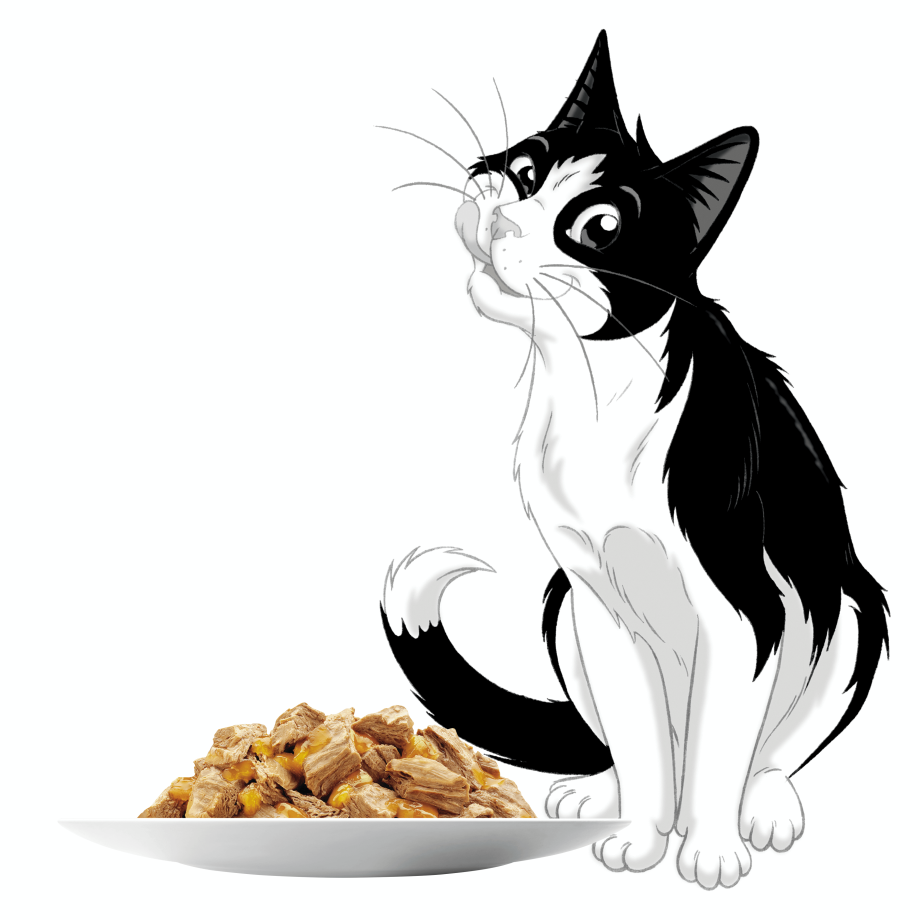 Феликс кошачий