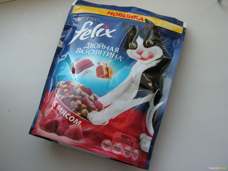 Кошка Фелисетт