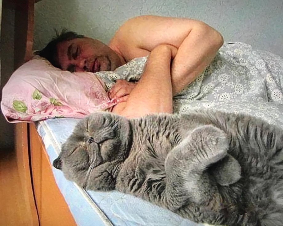 Мужик спит с котом