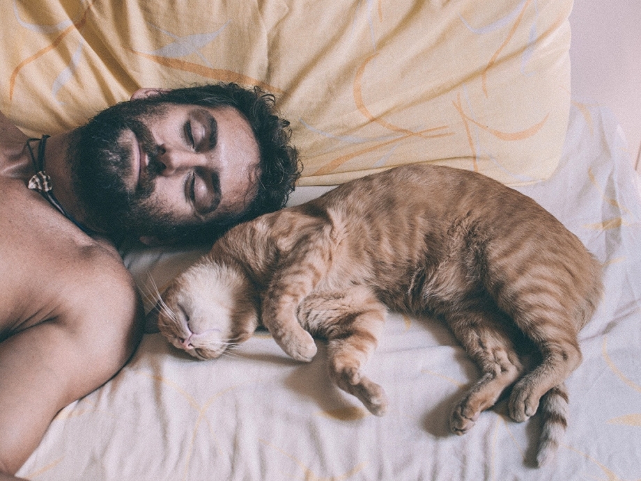 Спящий парень и кот