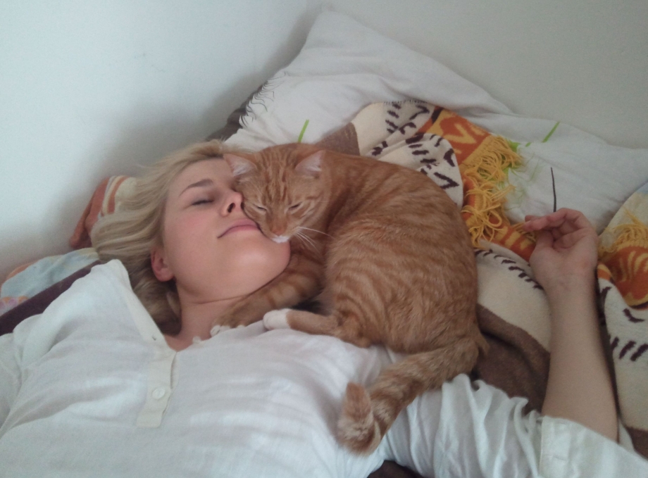 Кошка спит на человеке