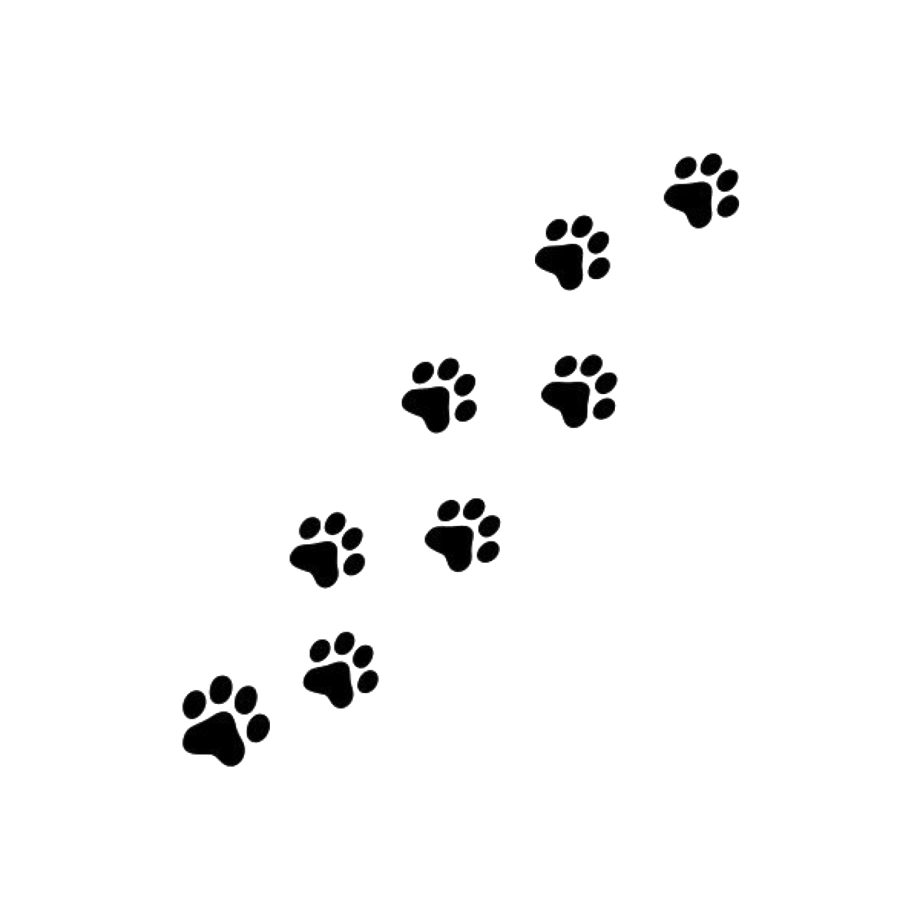 Лапки небеса. Наклейки кошачьи следы. Отпечаток лапки кота. След собаки. Тату лапки.