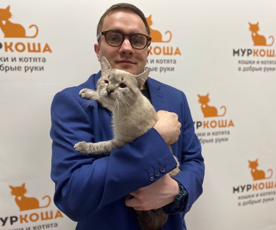 Mr Bigglesworth кот