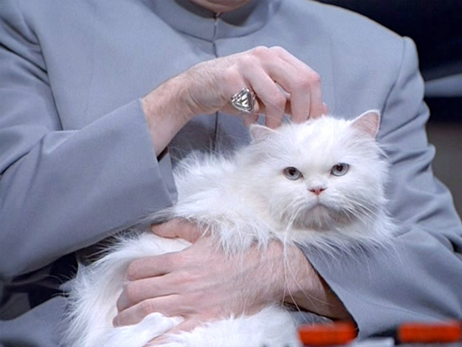 Смешной кот