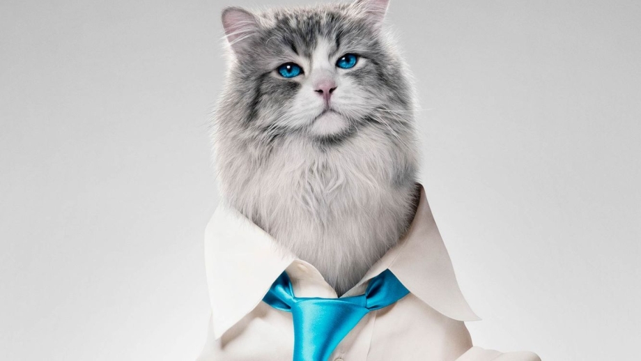 Nine Lives 2016