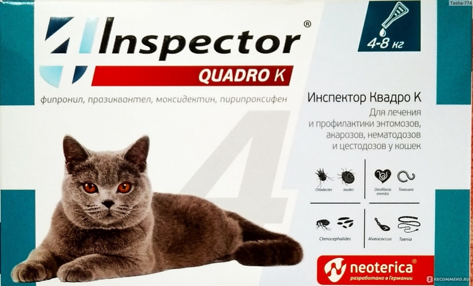 Inspector (Neoterica) Quadro капли для кошек 1-4 кг, от блох, клещей и гельминтов
