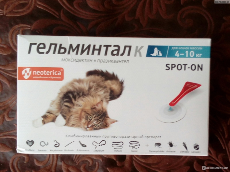 Адвокат Bayer для кошек