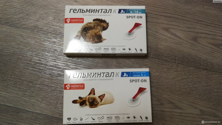 От глистов для котов