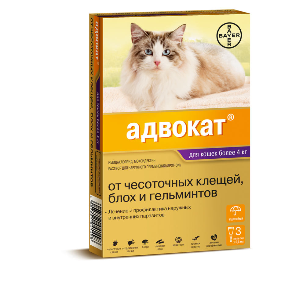 Адвокат Bayer для кошек