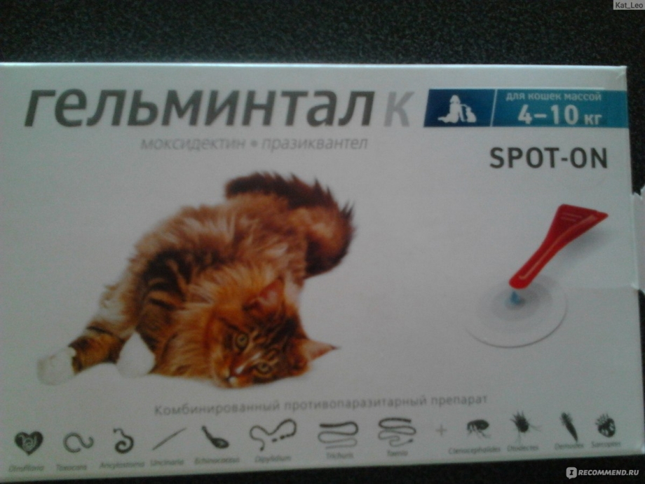 Гельминтал капли на холку для кошек