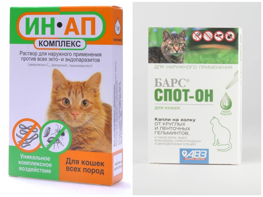 Капли на холку от глистов для кошек