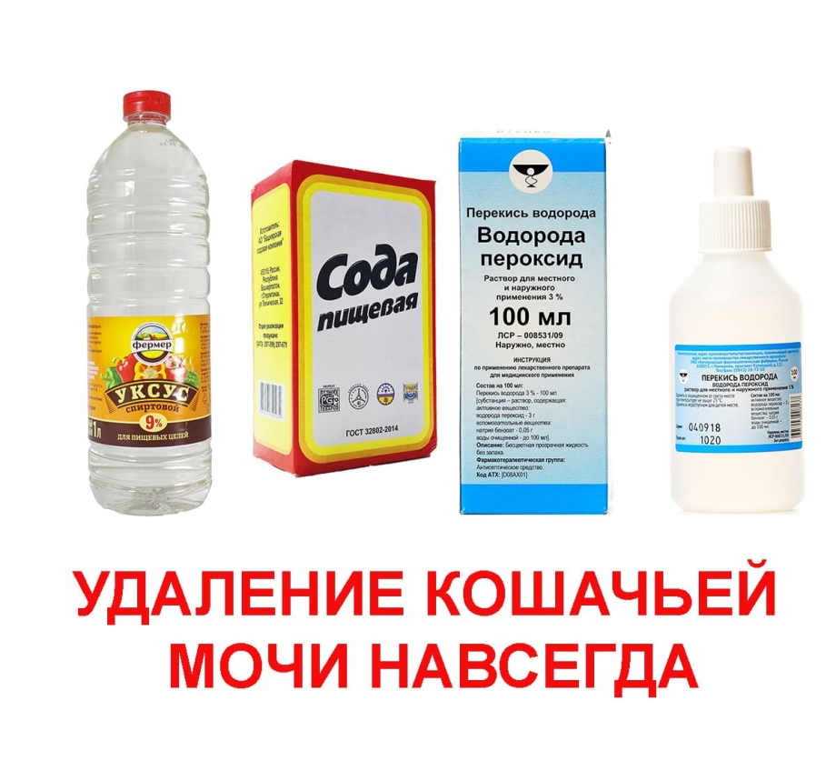 Средство от запаха мочи кошек