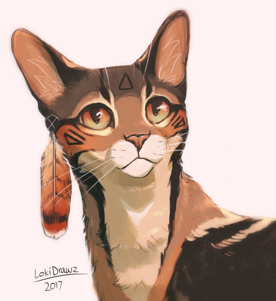 Коты Воители LOKIDRAWZ
