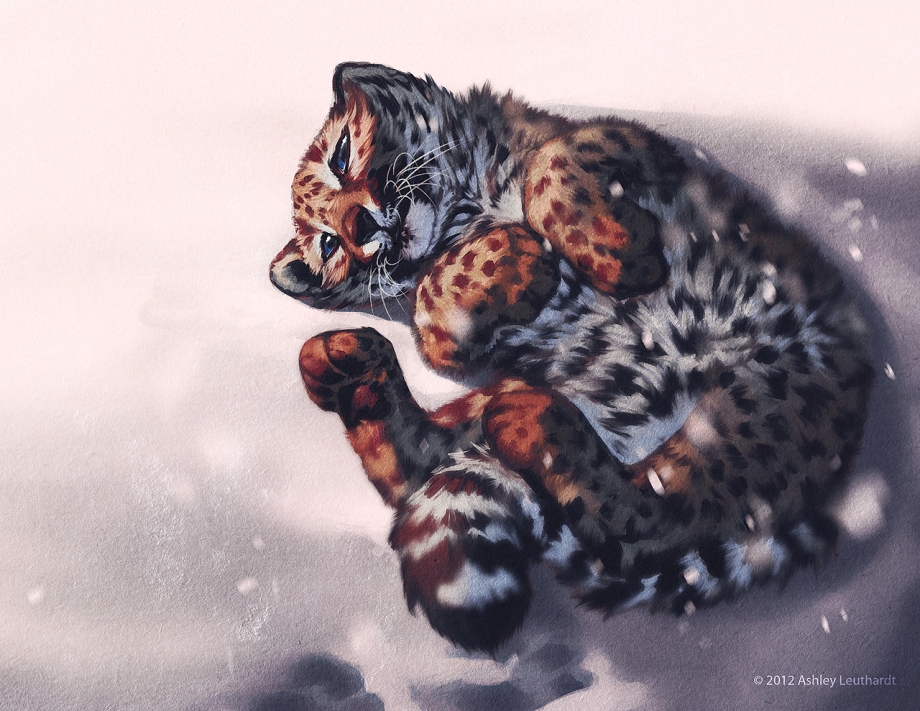 Бенгальская кошка