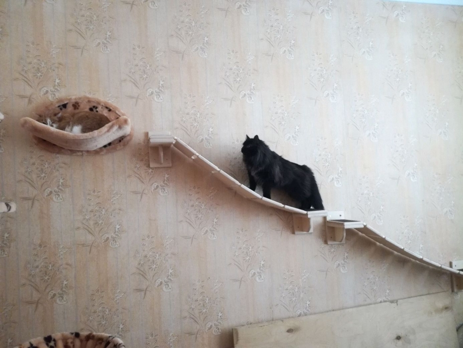 Лежанка для кошки с котятами