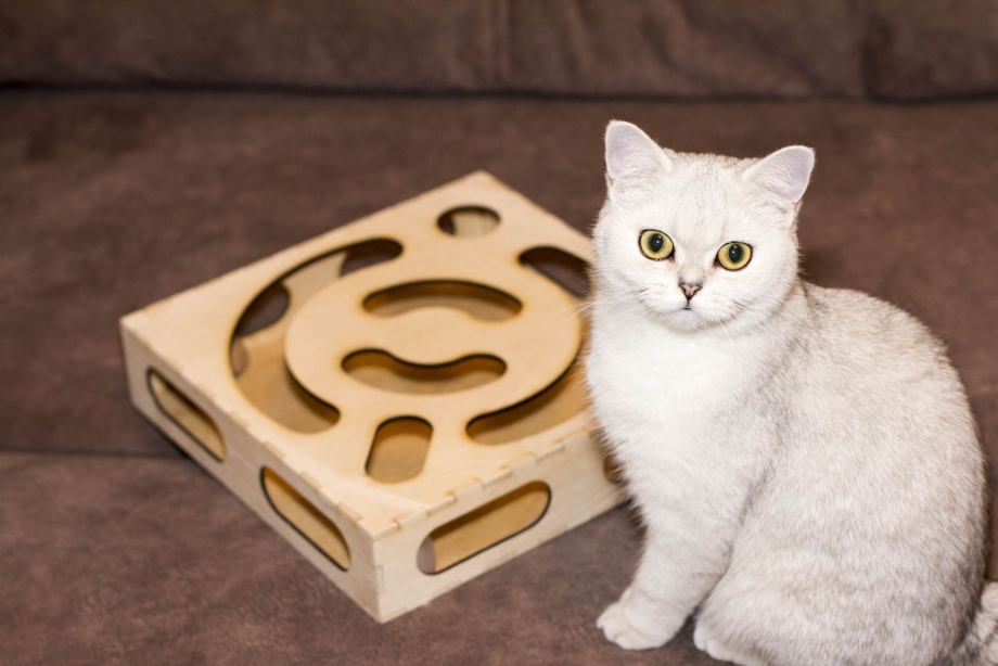 Игрушки для кошек из фанеры