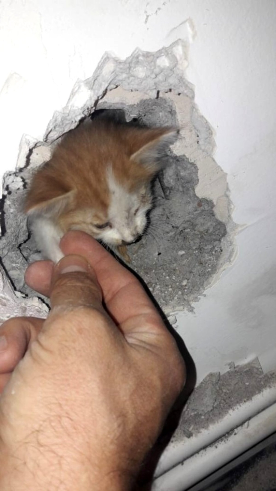 Пожарный с котенком