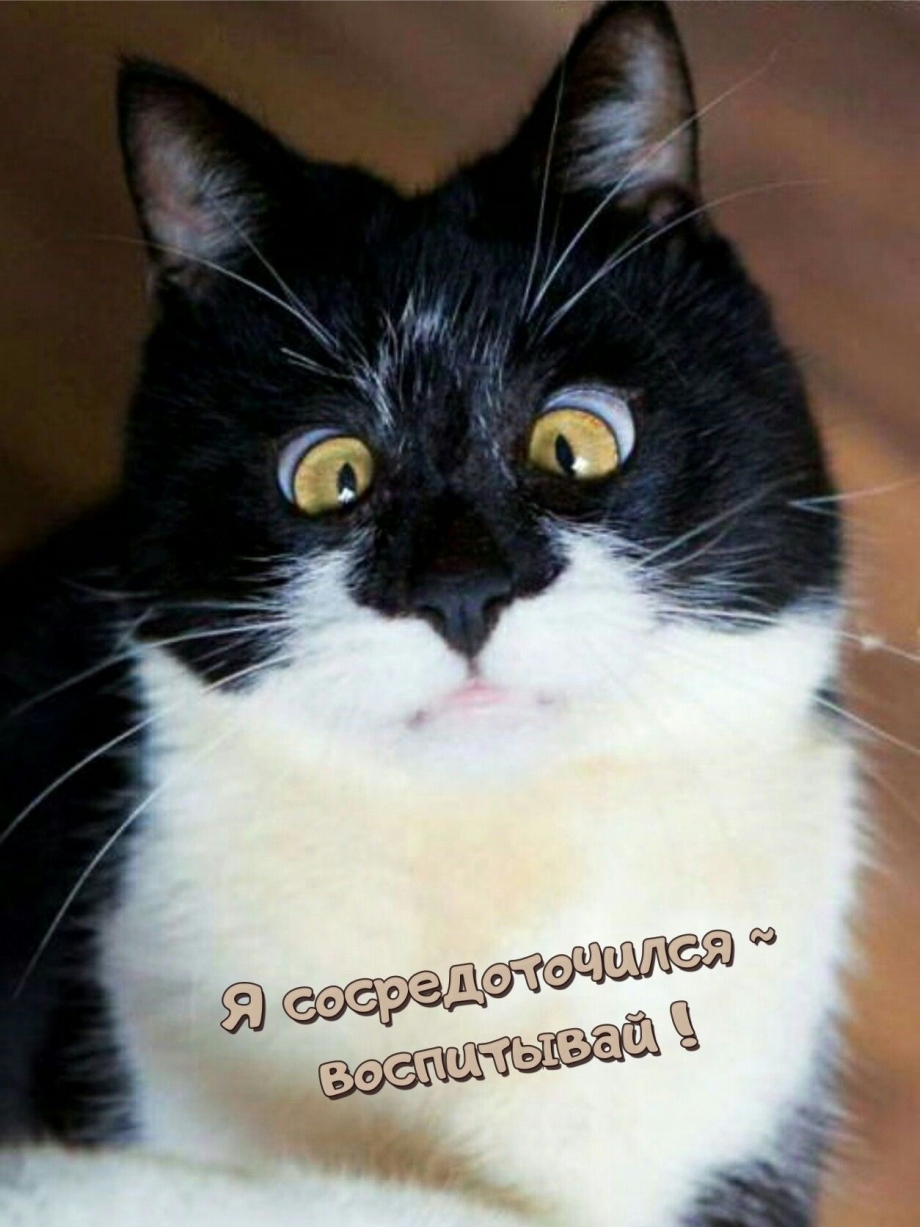 Глаза в кучку