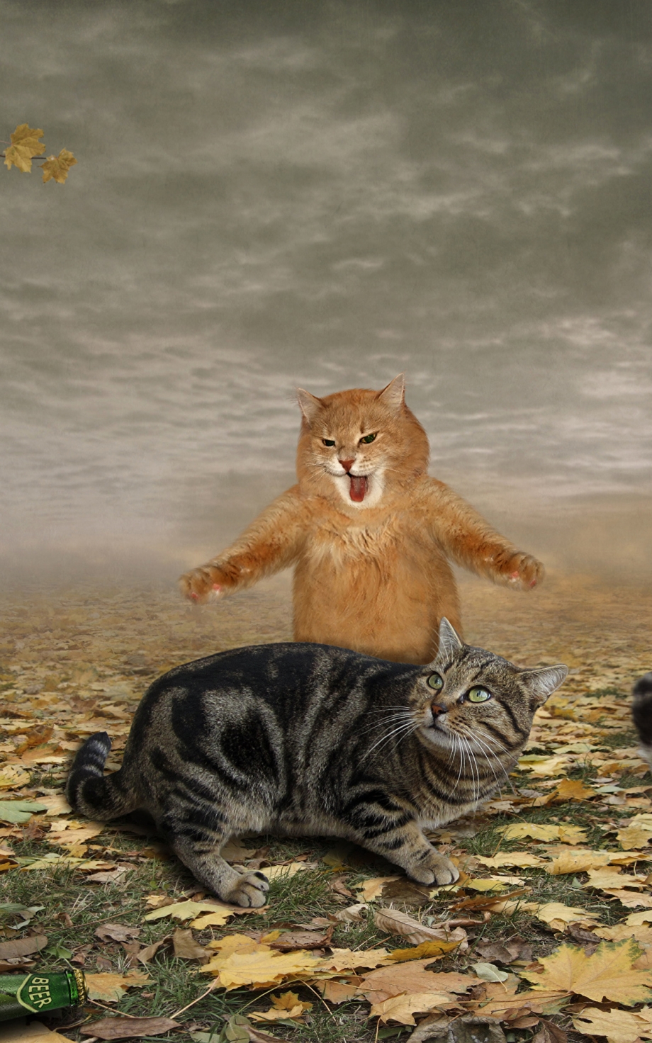 Пугающий кот
