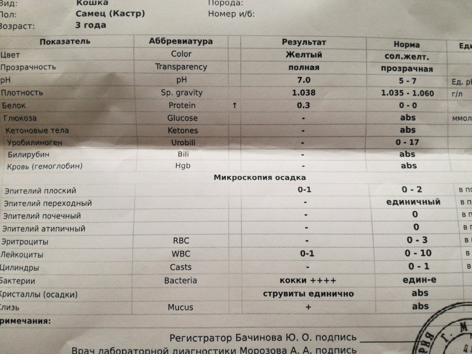 Струвиты микроскопия