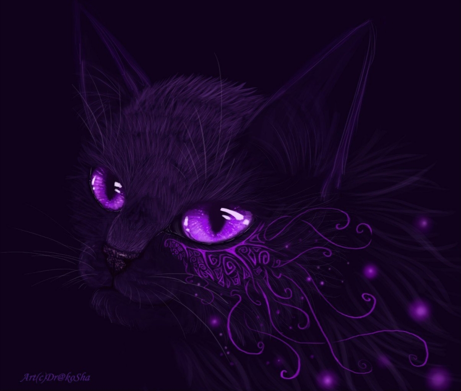 Черные коты