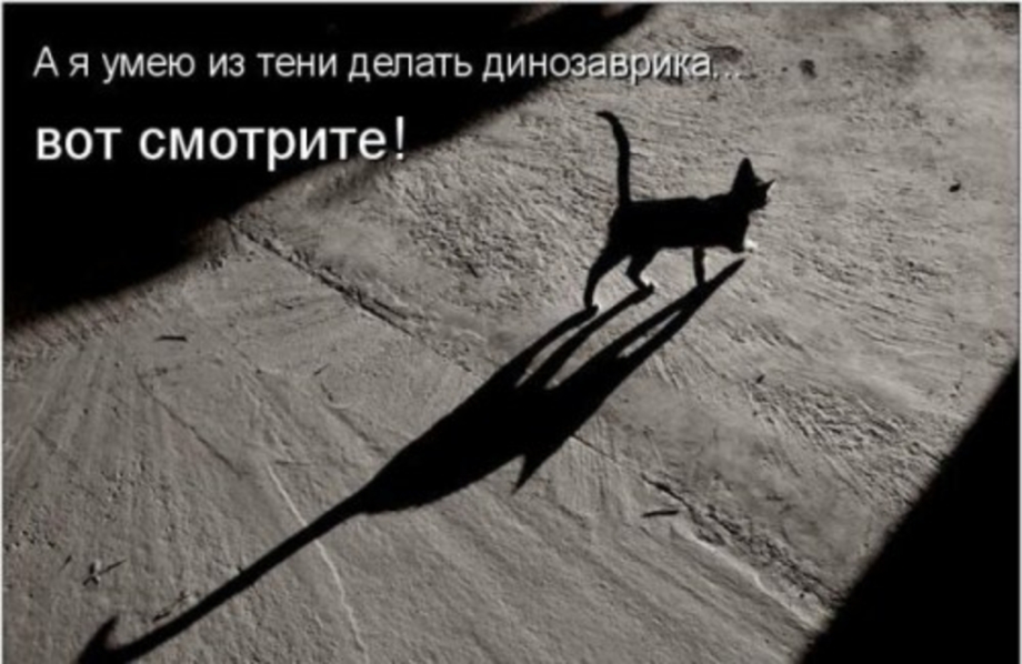 Кот уходит в даль