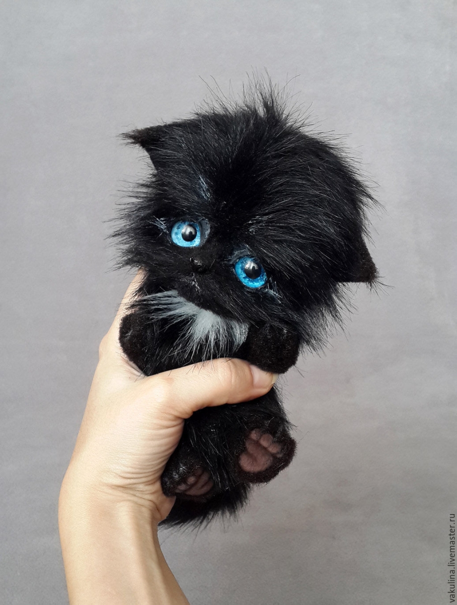 Лохматый котенок