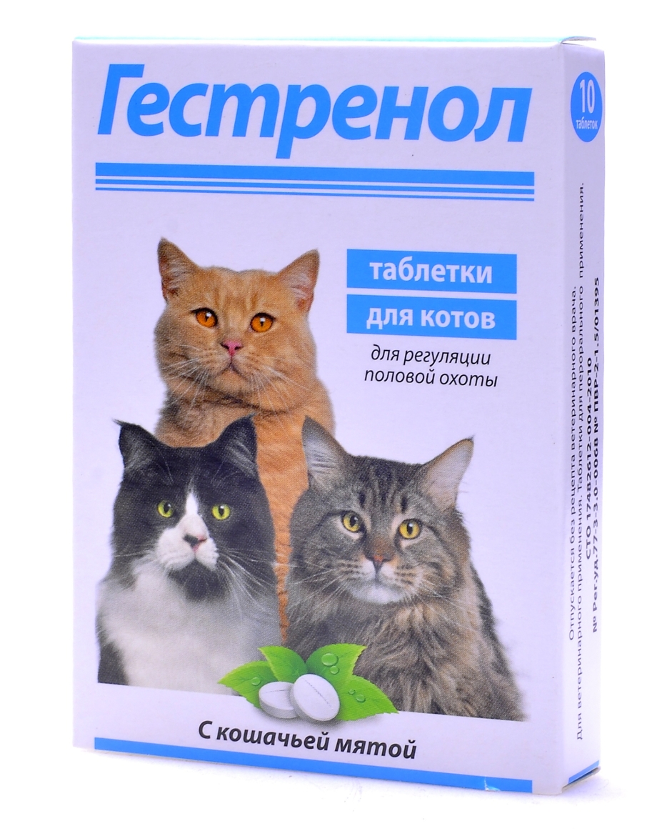 Таблетки для котов от гуляния Гестренол