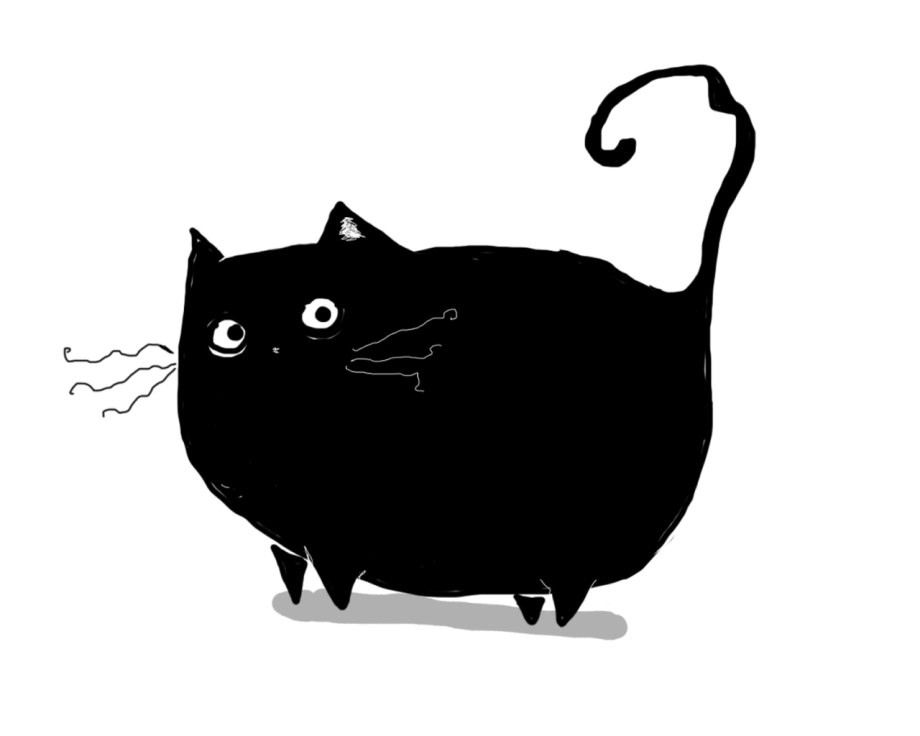 Черная кошка