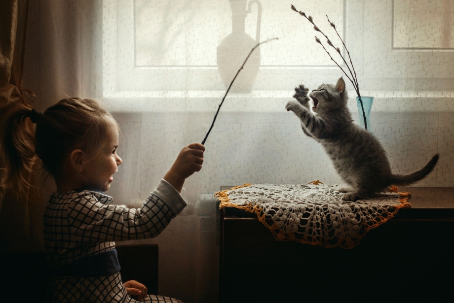 Девочка играет с котенком