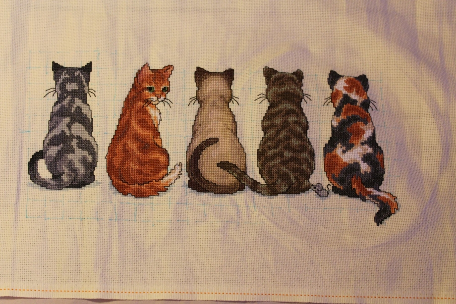 Коты с узелками