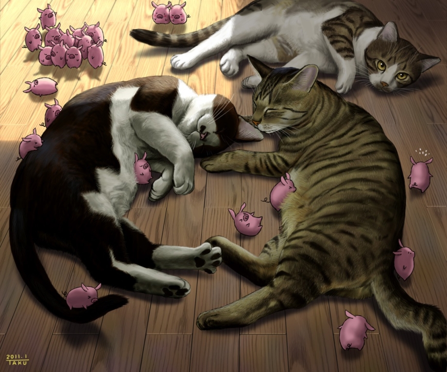 Кормящая кошка