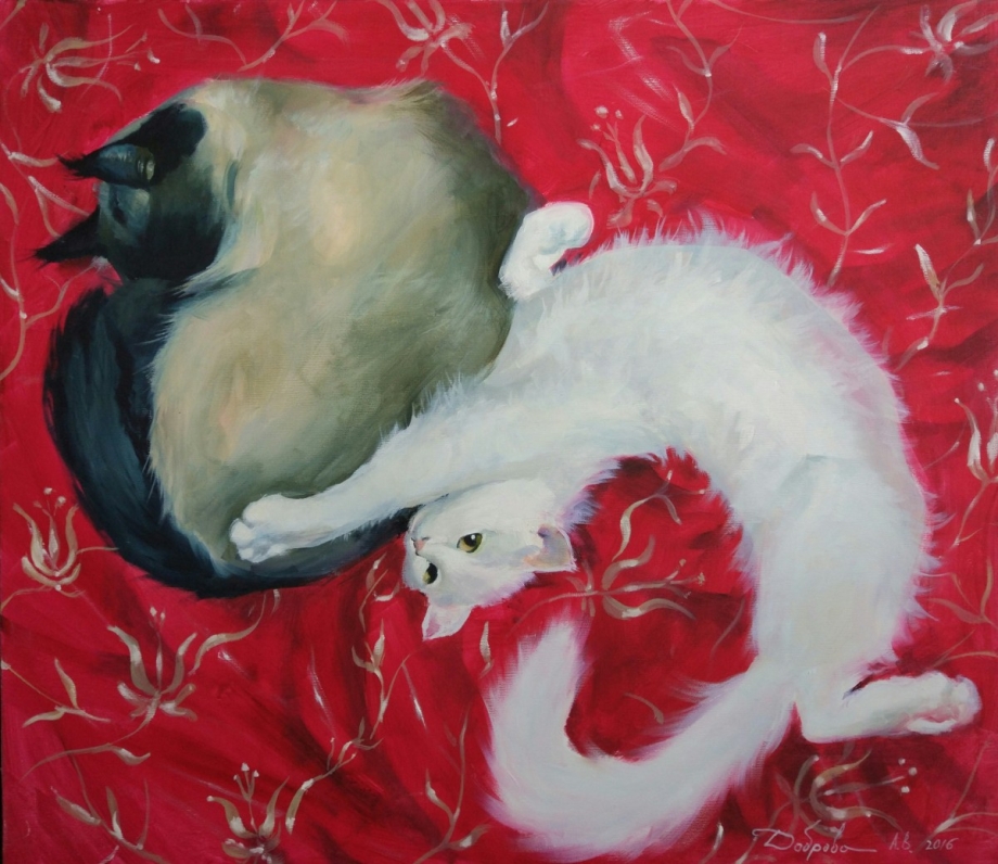 Снятся котята и кошки