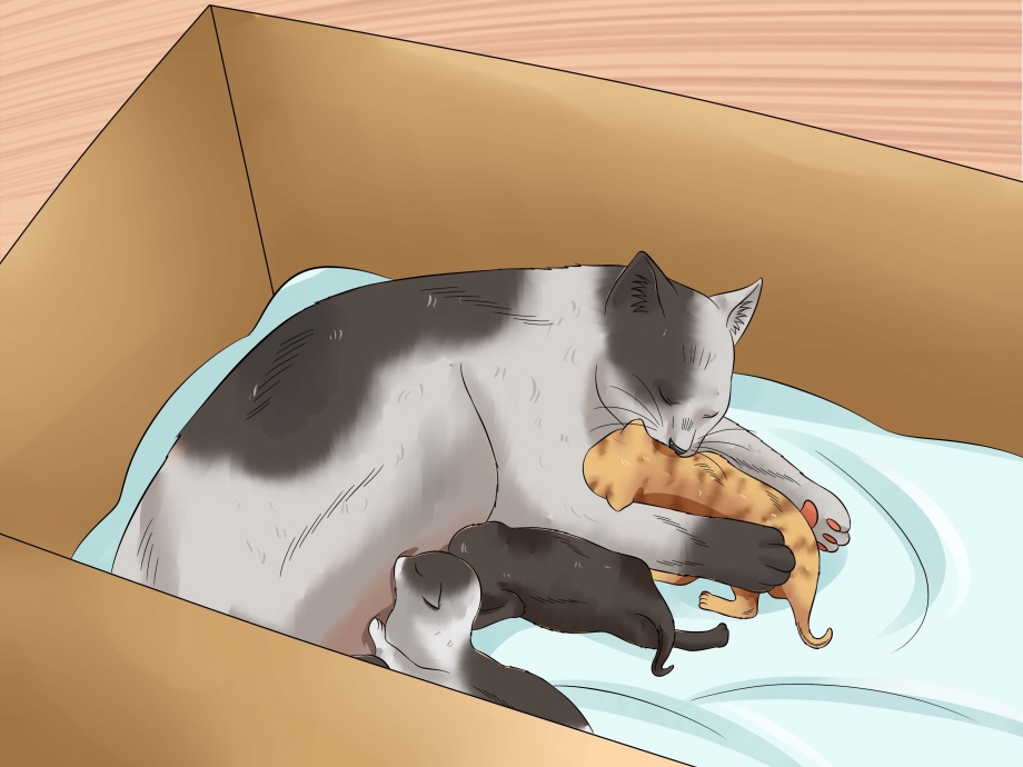 Рыжая кошка с котятами