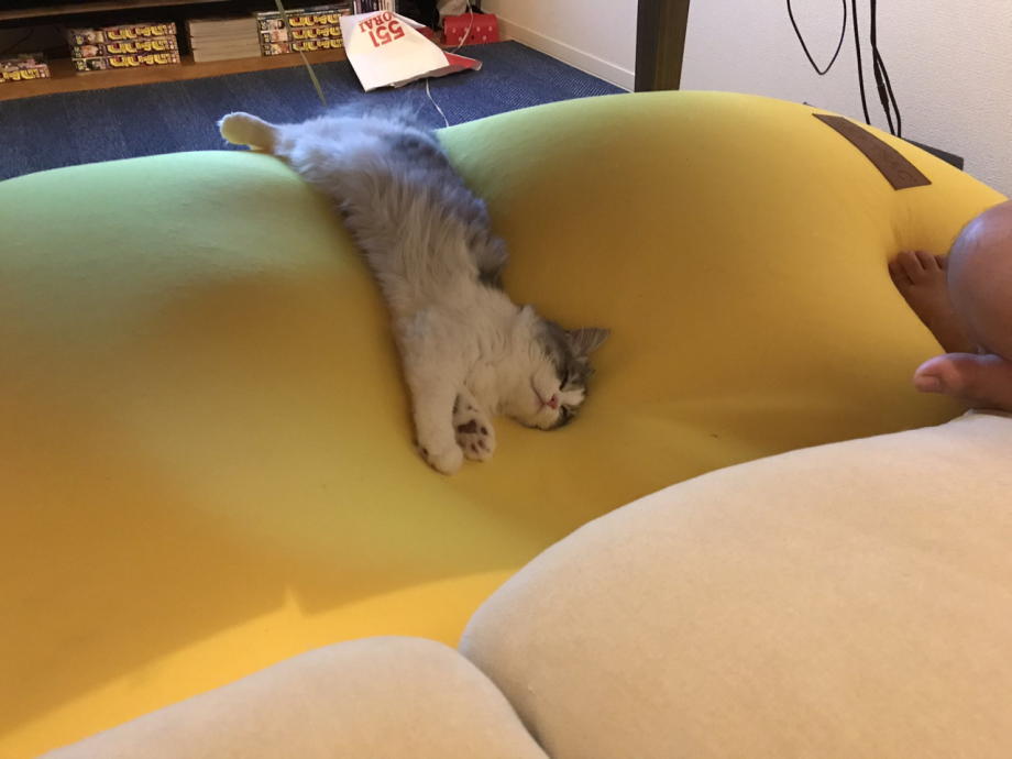 Кошка рожает котенка гиф