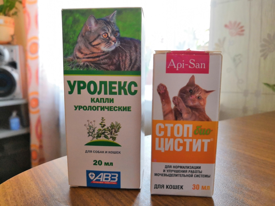 Мочекаменная болезнь у кошек