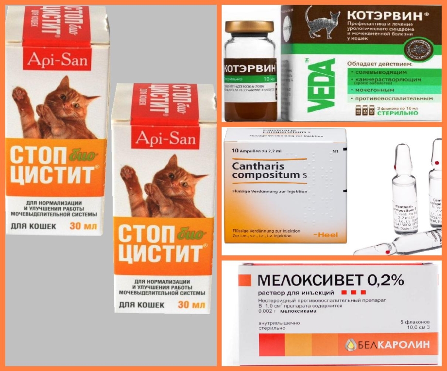 Стоп-цистит таблетки д/кошек 15шт