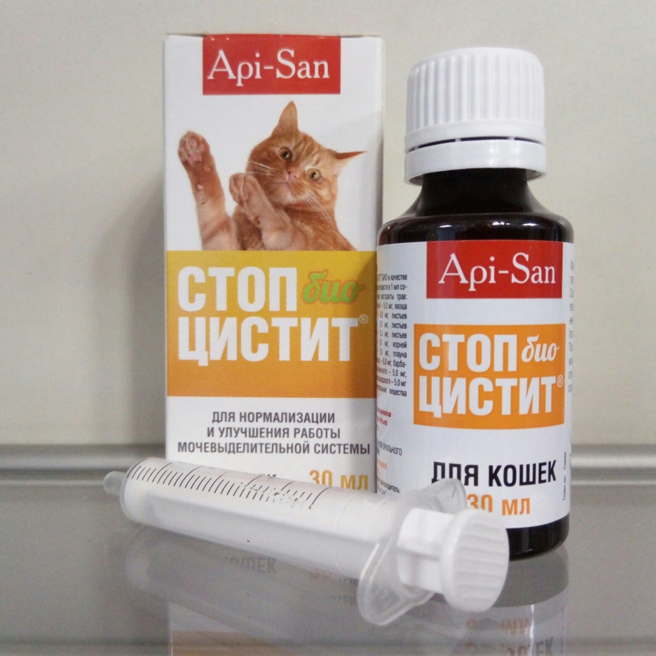 Кот со стетоскопом