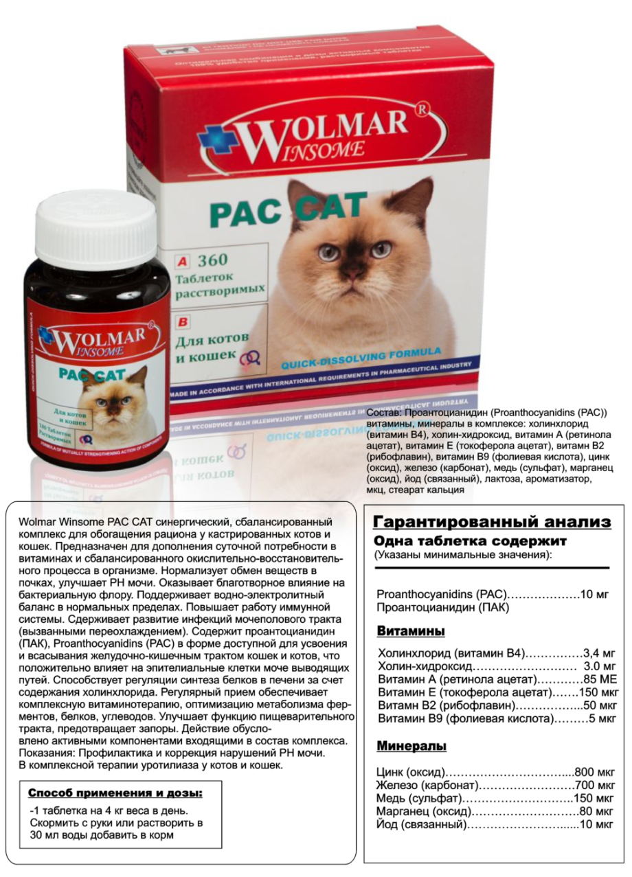 Подгузники для кошек