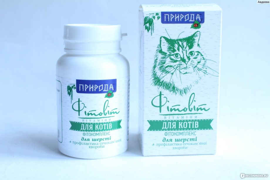 Промежностная уретростомия кота